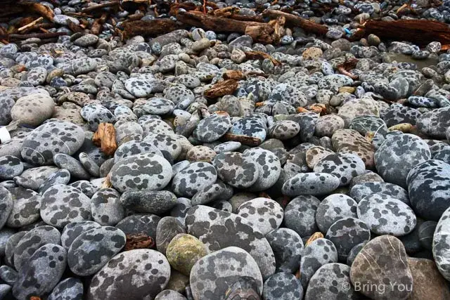阿朗壹古道-20