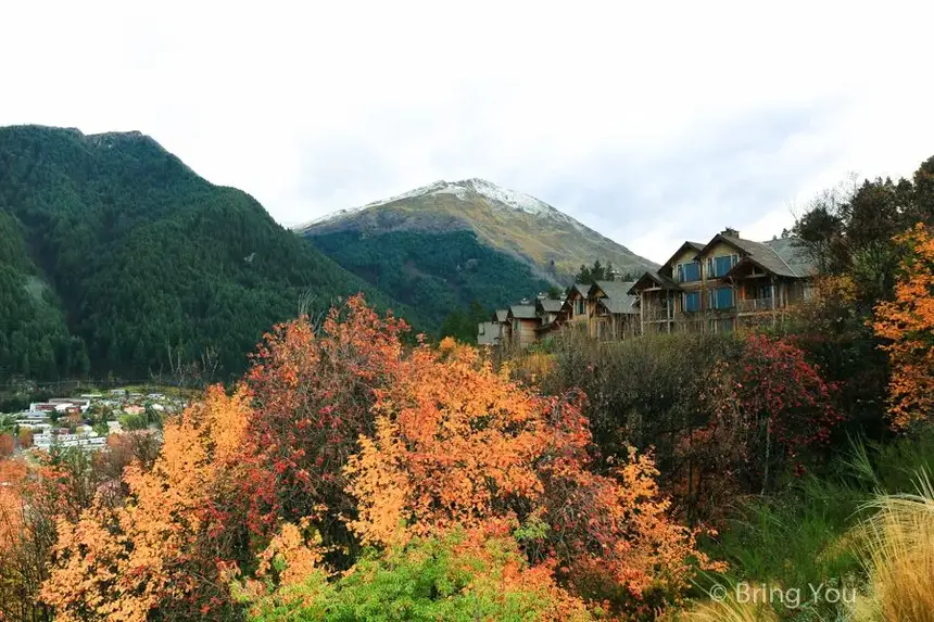 【紐西蘭】皇后鎮山步道健行，俯瞰美到爆的瓦卡蒂普湖景，Queenstown Hill Walkway Trekking