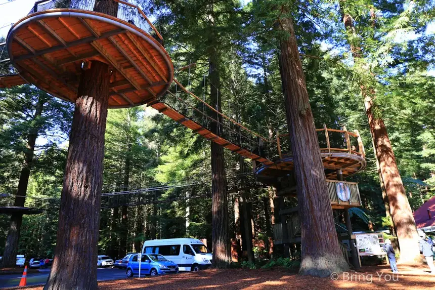 Redwoods Whakarewarewa Forest