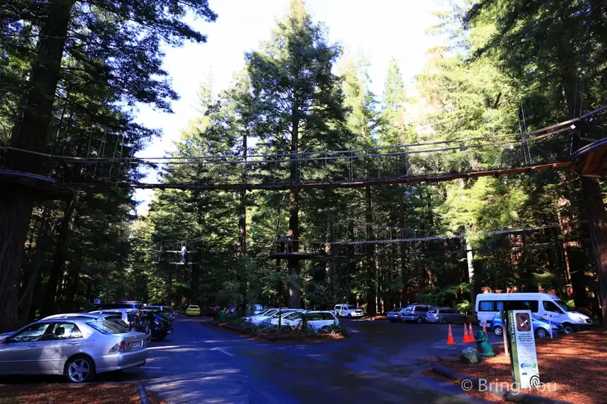 Redwoods Whakarewarewa Forest